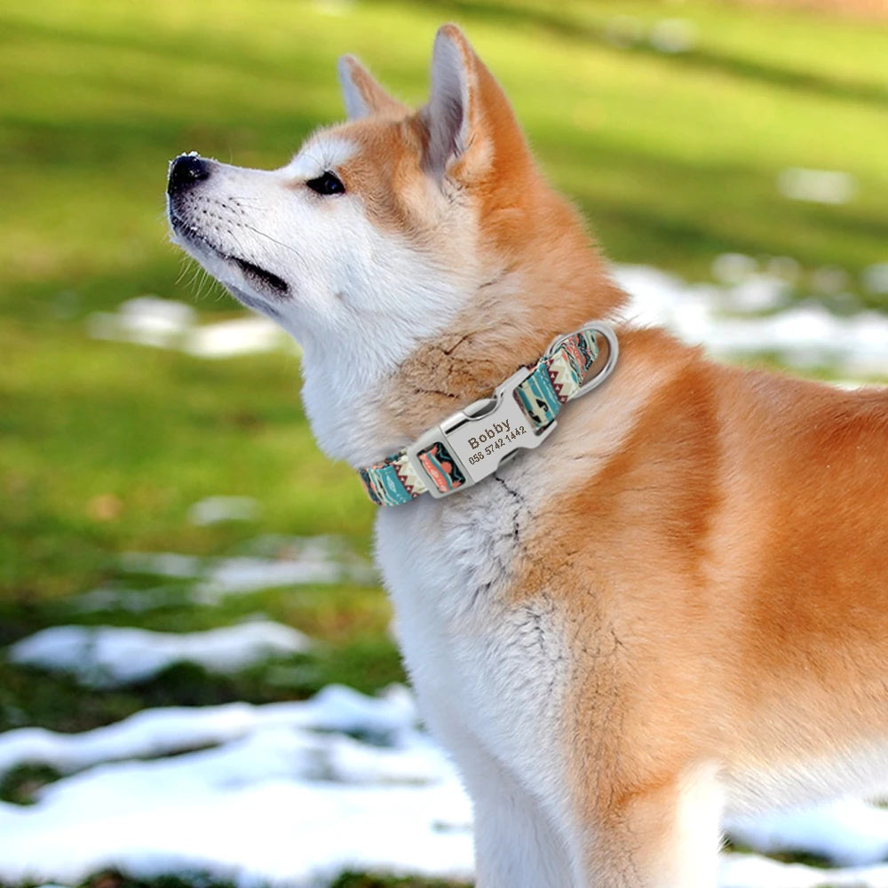 The LillyGreen Petit Nom™ Personalized Collar