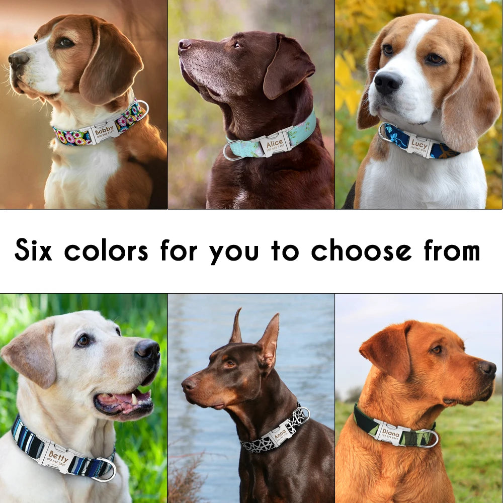 The LillyGreen Petit Nom™ Personalized Collar