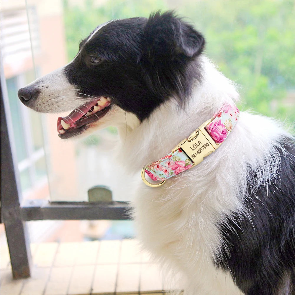 The LillyGreen Petit Nom™ Personalized Collar