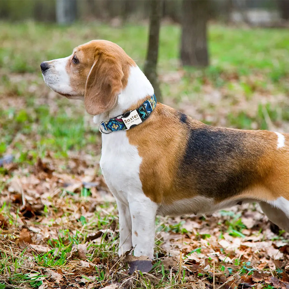 The LillyGreen Petit Nom™ Personalized Collar