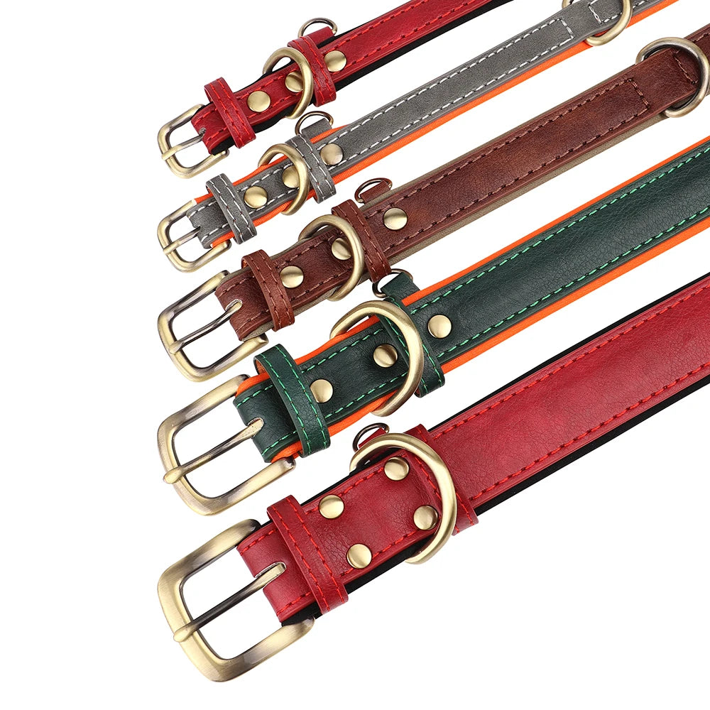The LillyGreen BelleTag™ Personalized Collar