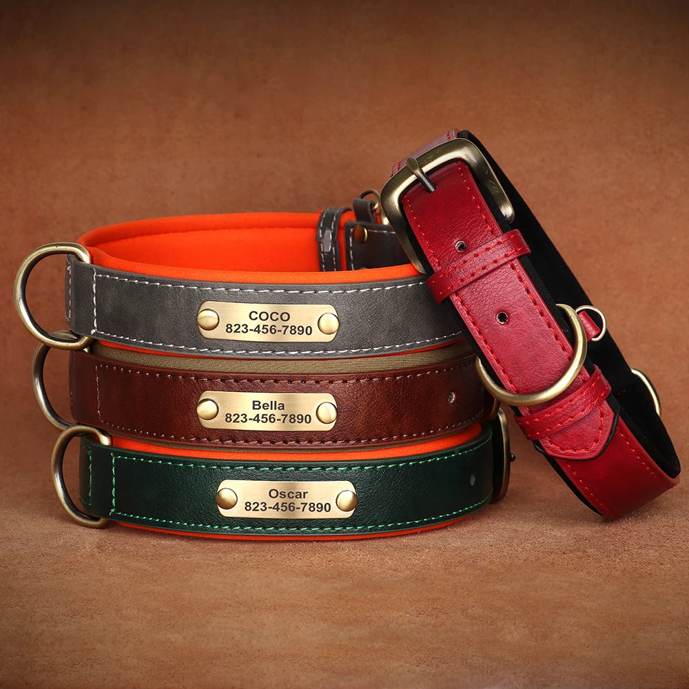 The LillyGreen BelleTag™ Personalized Collar