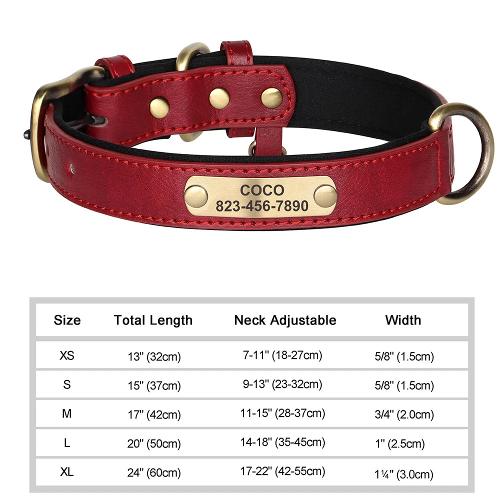 The LillyGreen BelleTag™ Personalized Collar