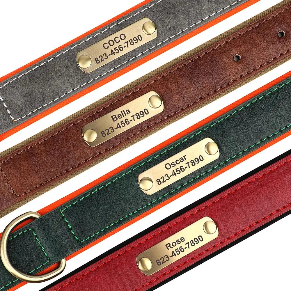 The LillyGreen BelleTag™ Personalized Collar