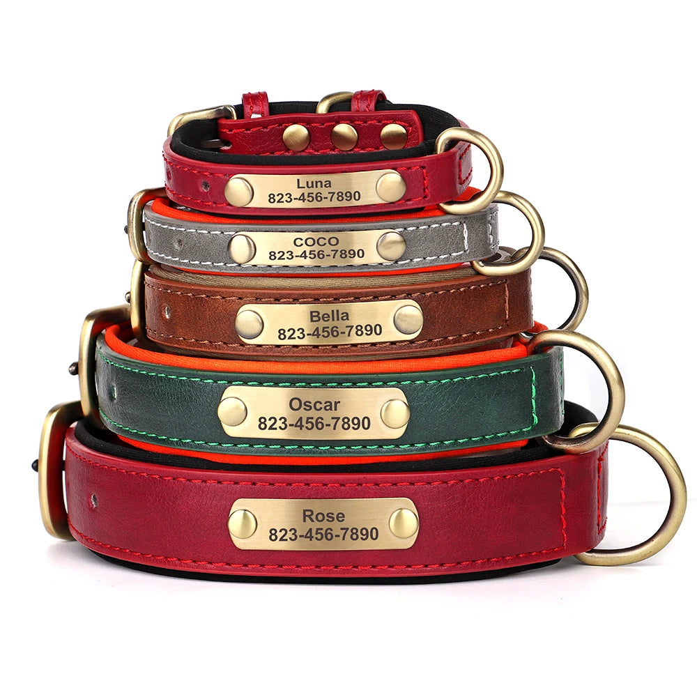 The LillyGreen BelleTag™ Personalized Collar