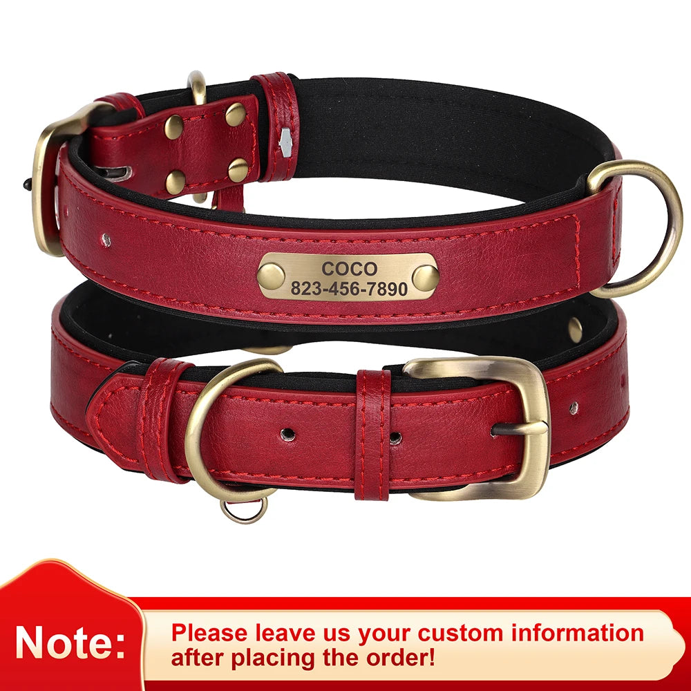 The LillyGreen BelleTag™ Personalized Collar