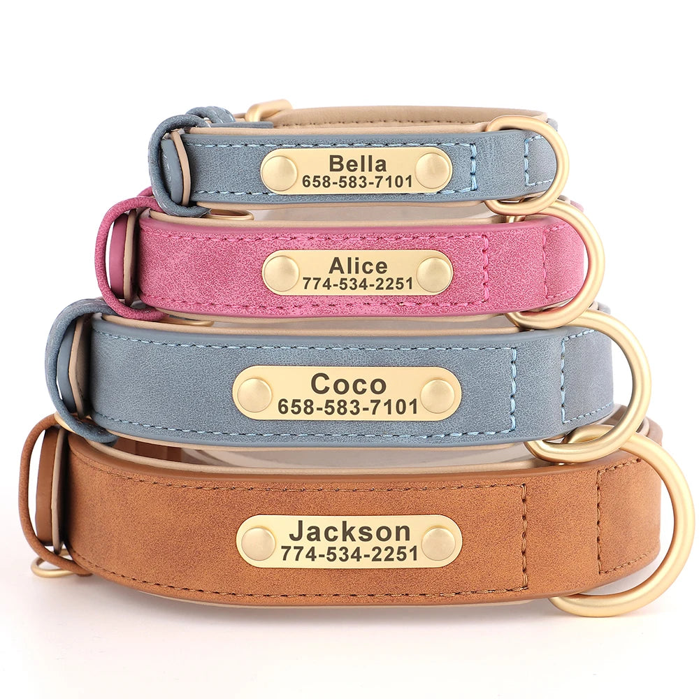 The LillyGreen BelleTag™ Personalized Collar