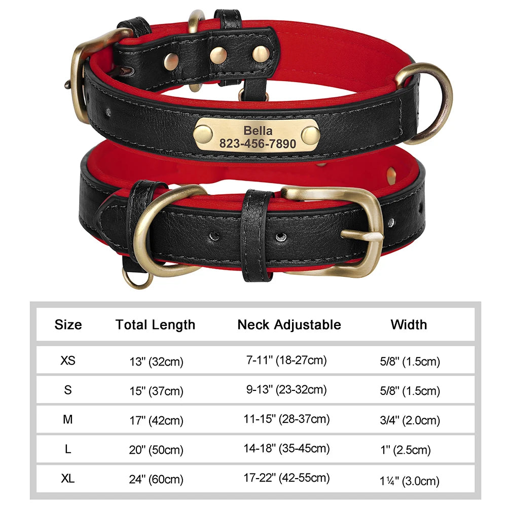 The LillyGreen BelleTag™ Personalized Collar