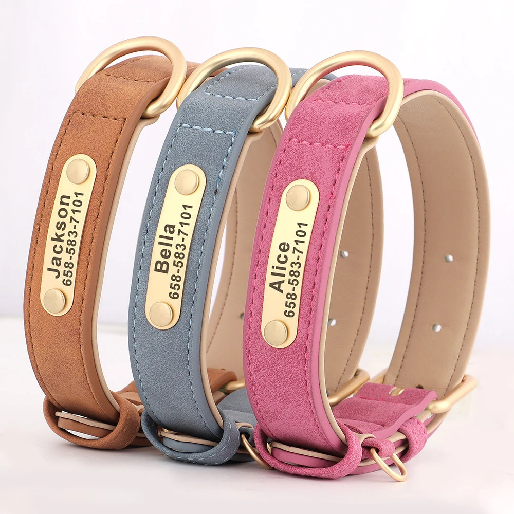 The LillyGreen BelleTag™ Personalized Collar