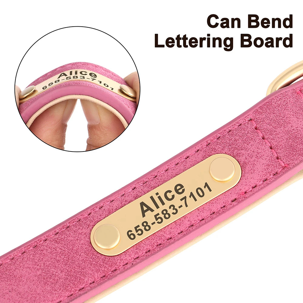 The LillyGreen BelleTag™ Personalized Collar