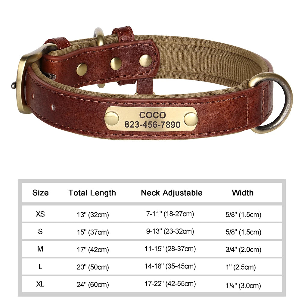 The LillyGreen BelleTag™ Personalized Collar