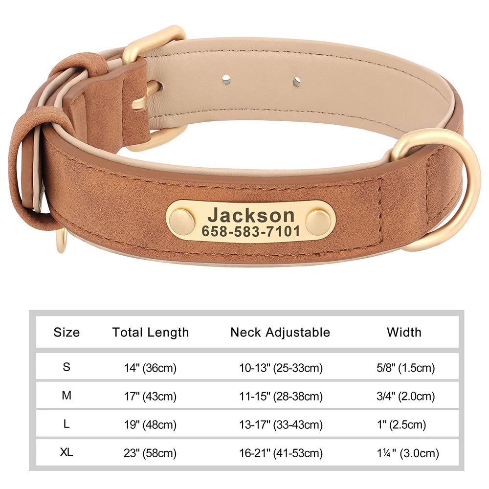 The LillyGreen BelleTag™ Personalized Collar