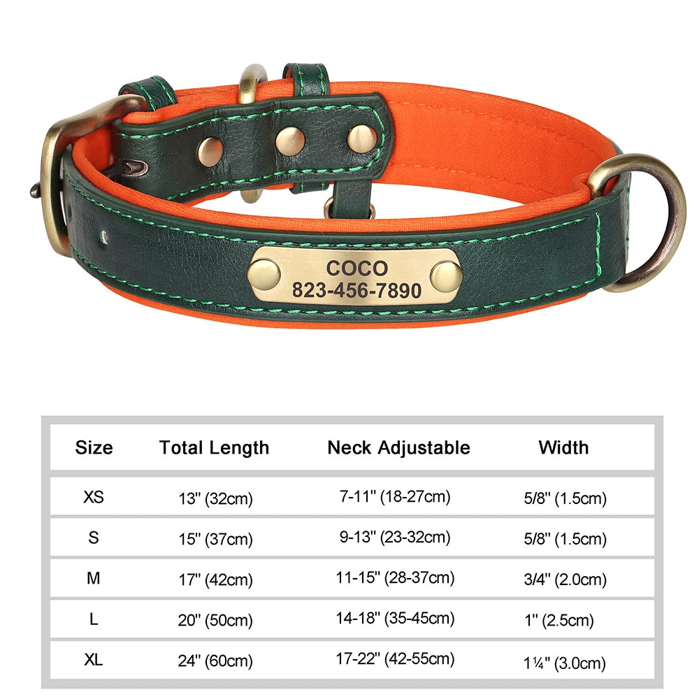 The LillyGreen BelleTag™ Personalized Collar