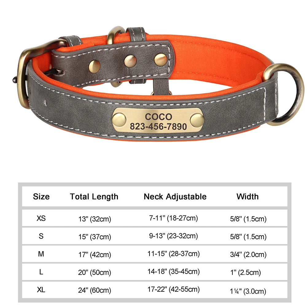 The LillyGreen BelleTag™ Personalized Collar