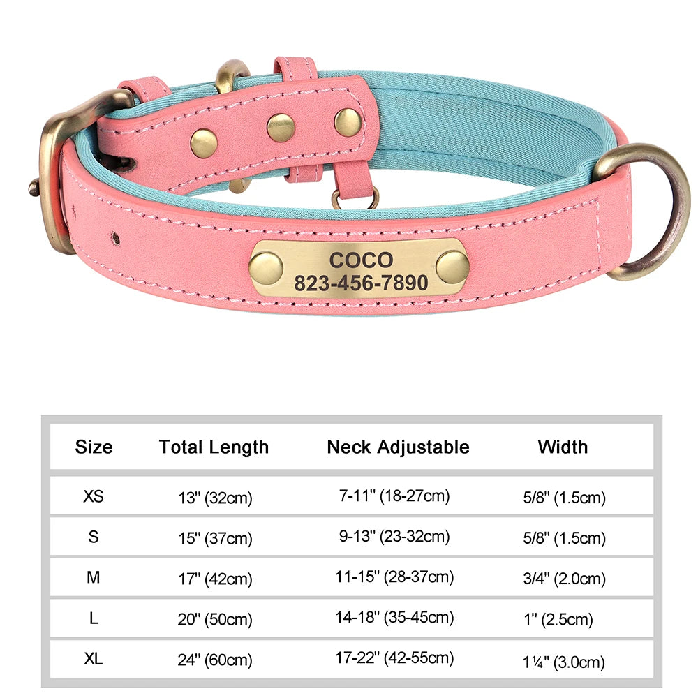 The LillyGreen BelleTag™ Personalized Collar