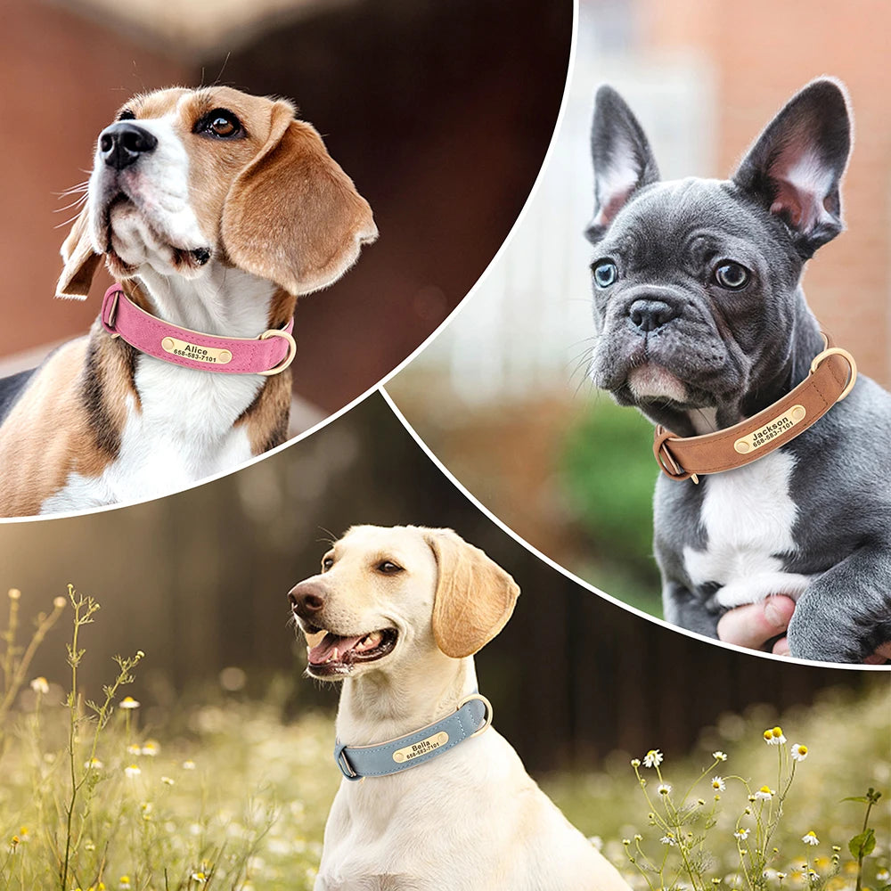 The LillyGreen BelleTag™ Personalized Collar