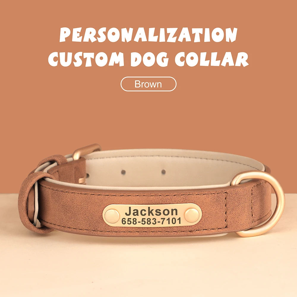 The LillyGreen BelleTag™ Personalized Collar