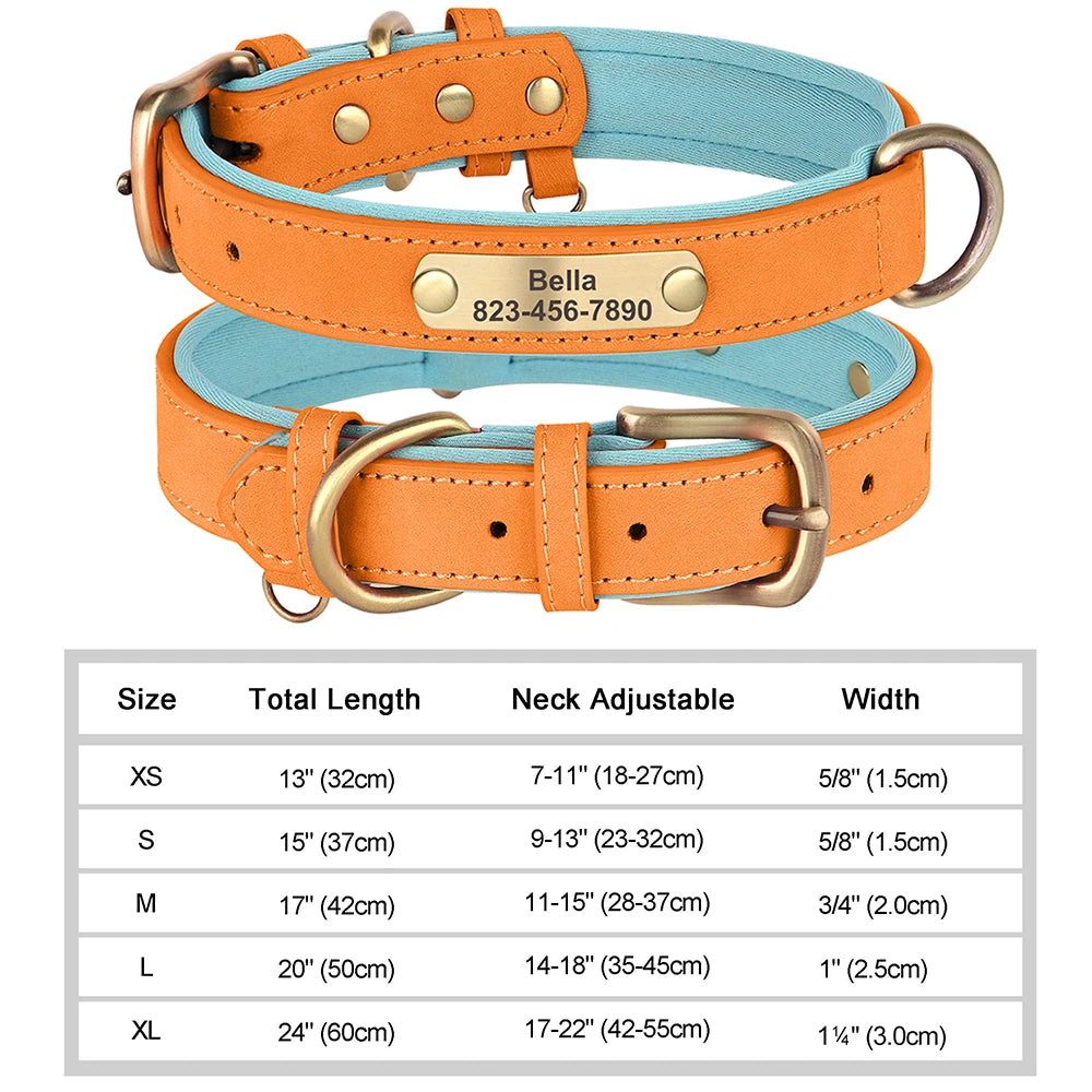 The LillyGreen BelleTag™ Personalized Collar