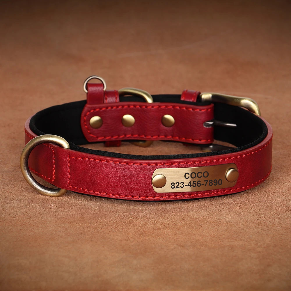 The LillyGreen BelleTag™ Personalized Collar