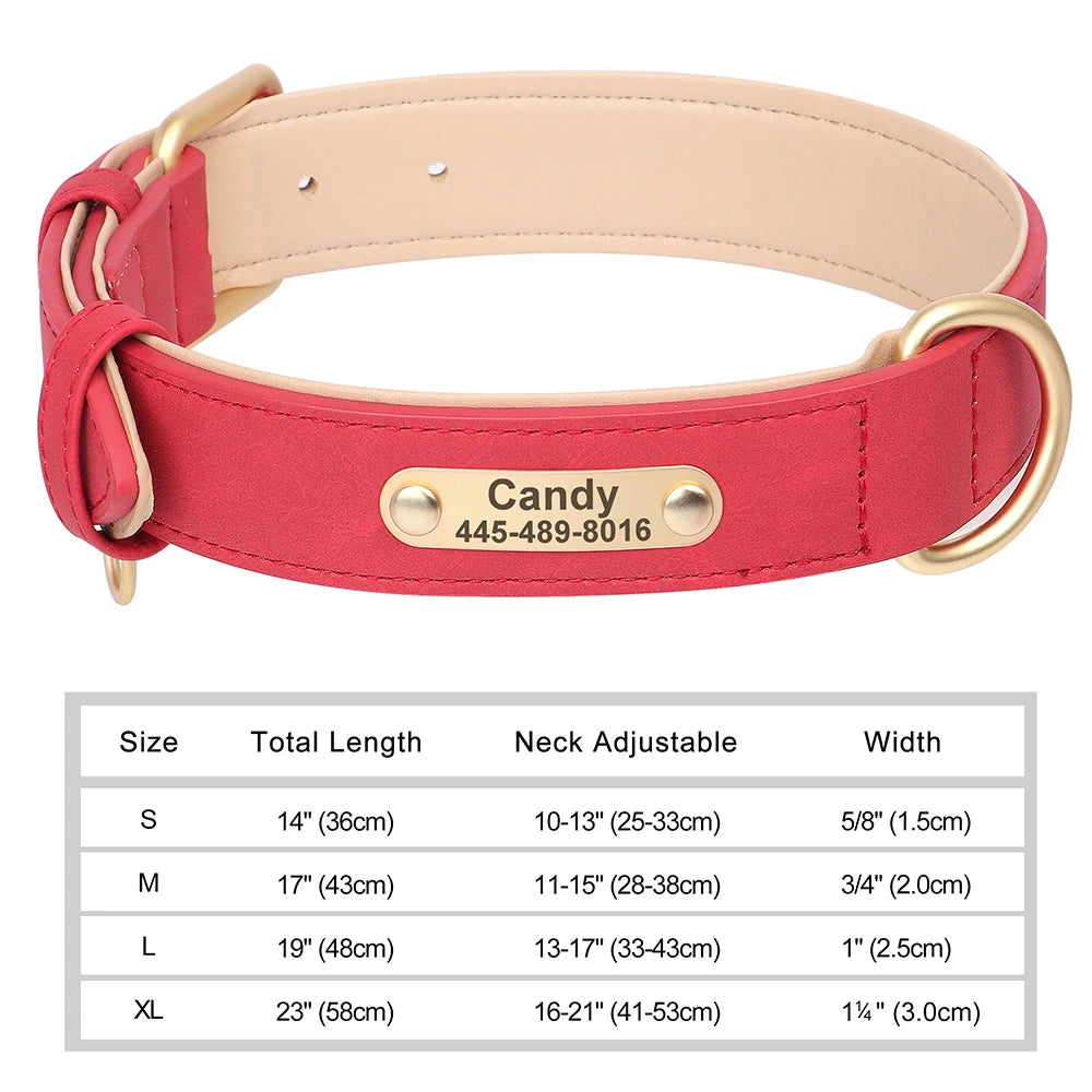 The LillyGreen BelleTag™ Personalized Collar
