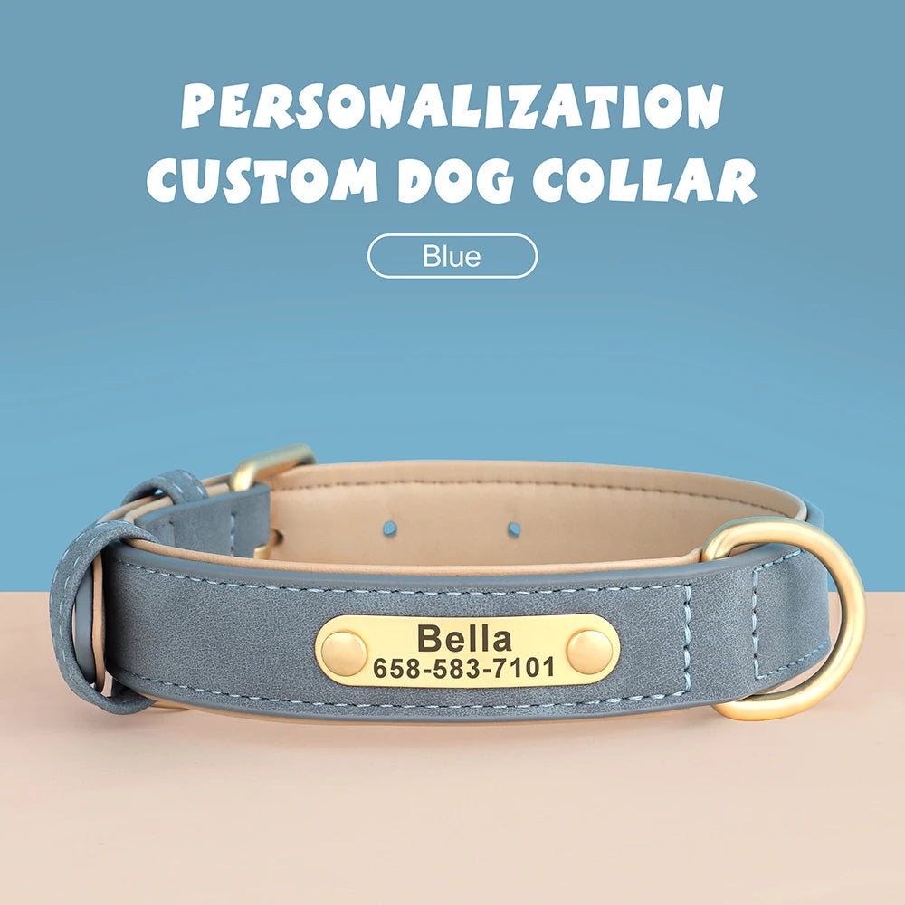 The LillyGreen BelleTag™ Personalized Collar