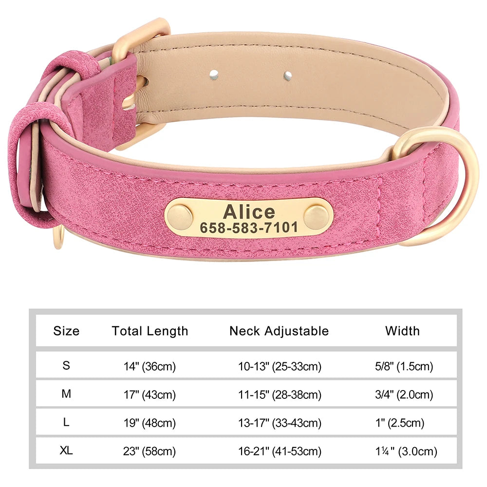 The LillyGreen BelleTag™ Personalized Collar