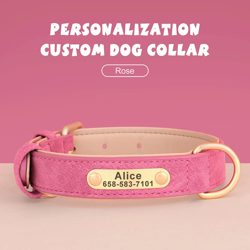 The LillyGreen BelleTag™ Personalized Collar