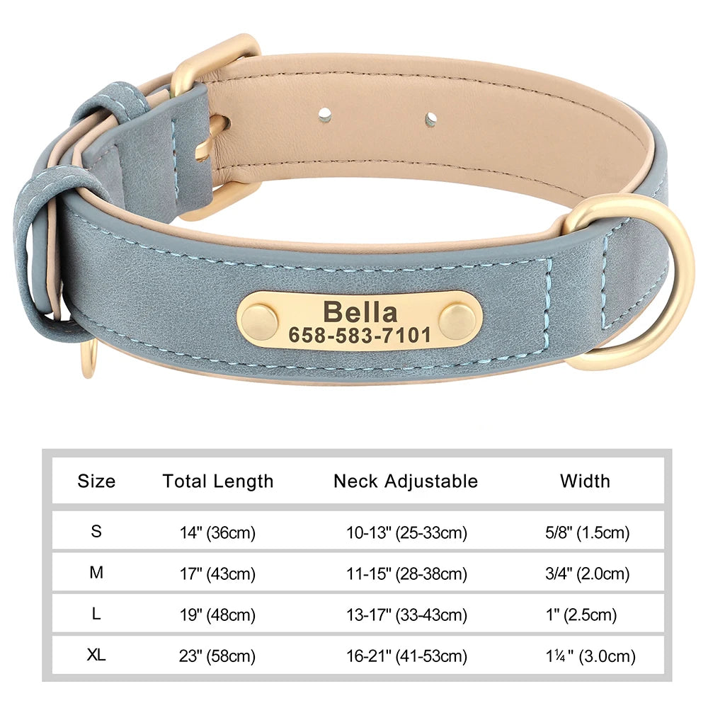 The LillyGreen BelleTag™ Personalized Collar