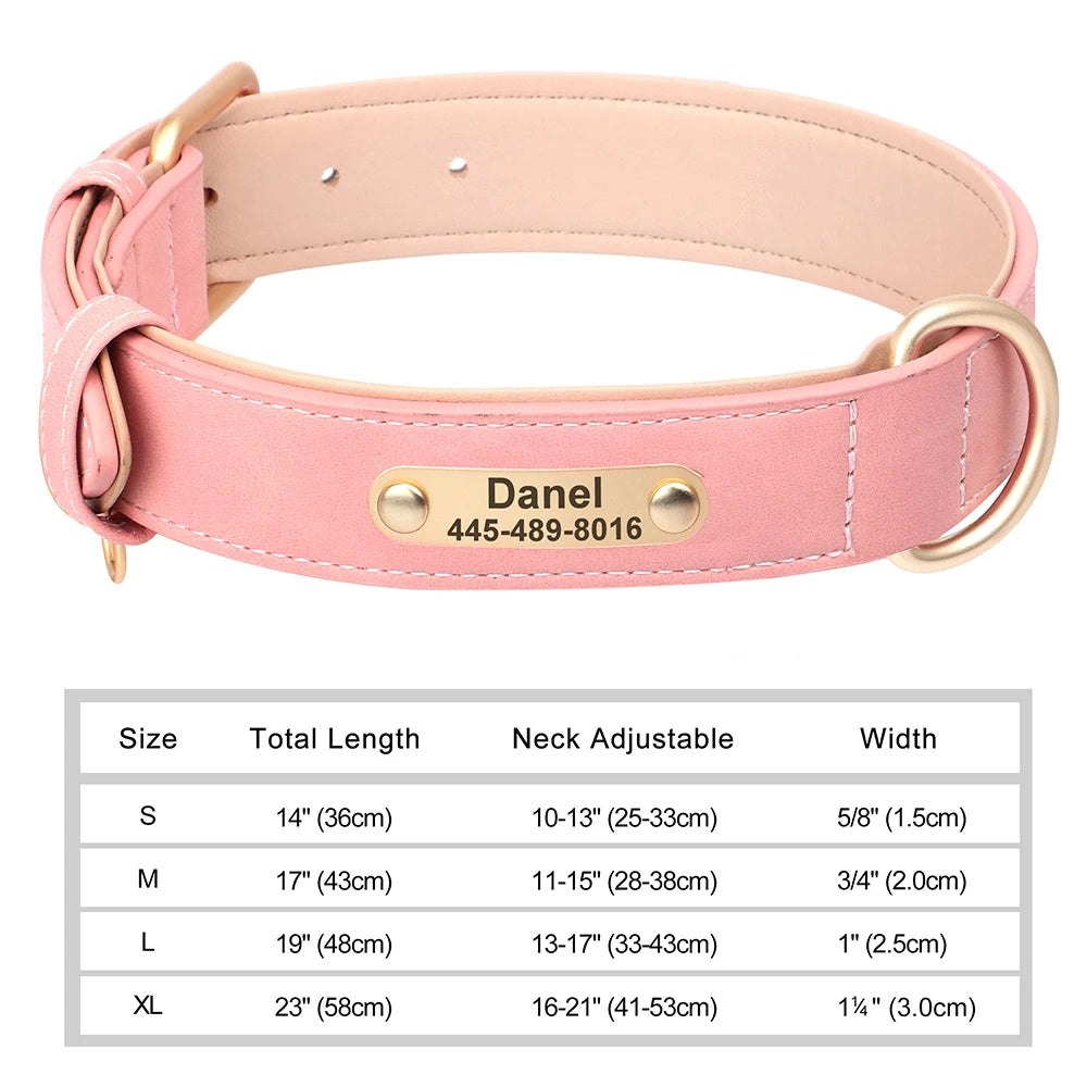 The LillyGreen BelleTag™ Personalized Collar
