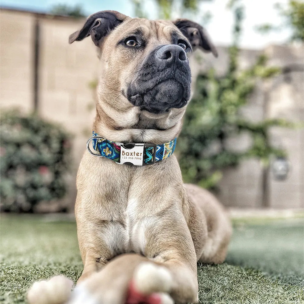 The LillyGreen Petit Nom™ Personalized Collar