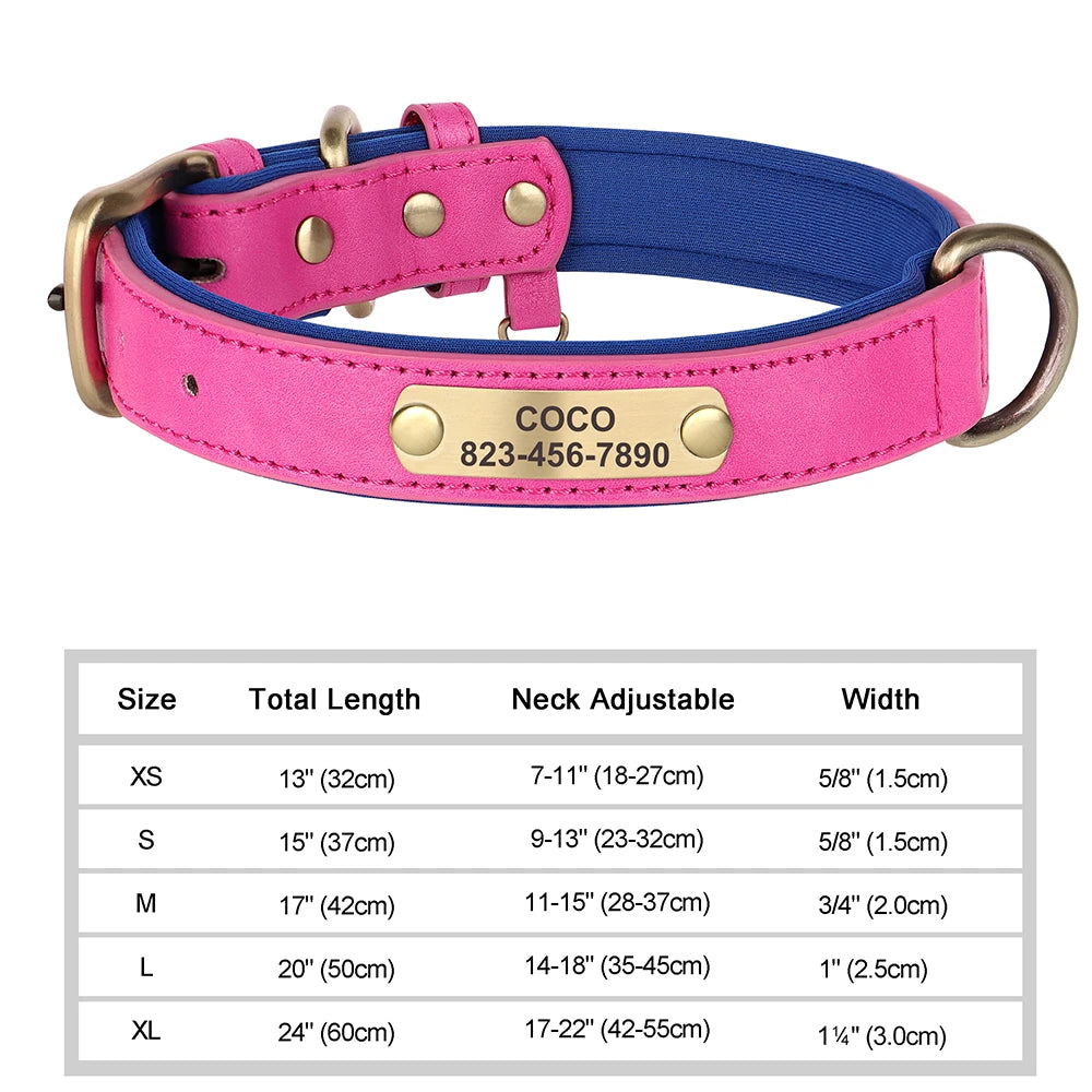 The LillyGreen BelleTag™ Personalized Collar