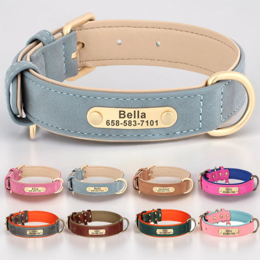 The LillyGreen BelleTag™ Personalized Collar