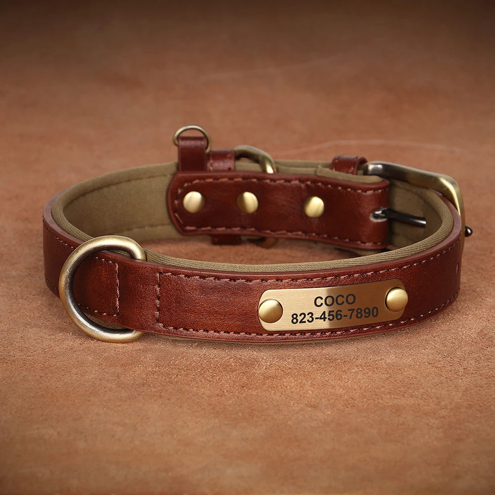 The LillyGreen BelleTag™ Personalized Collar